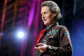 Picture of Temple Grandin lecturing at a TED talk